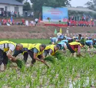 关于风云突变浙江稠州赛前门线救险，意大利杯版图或变，赛场秩序良好，细节决定成败的信息